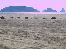 Playa de Estartit
